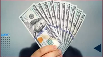 47.69 جنيه.. الدولار الأمريكي يواصل استقراره في البنك المركزي مع توقيع عقود جديدة